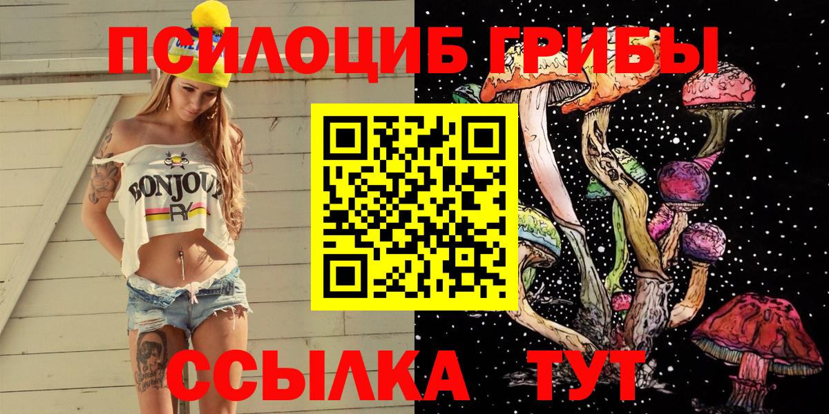 Псилоцибиновые грибы мицелий Рассказово